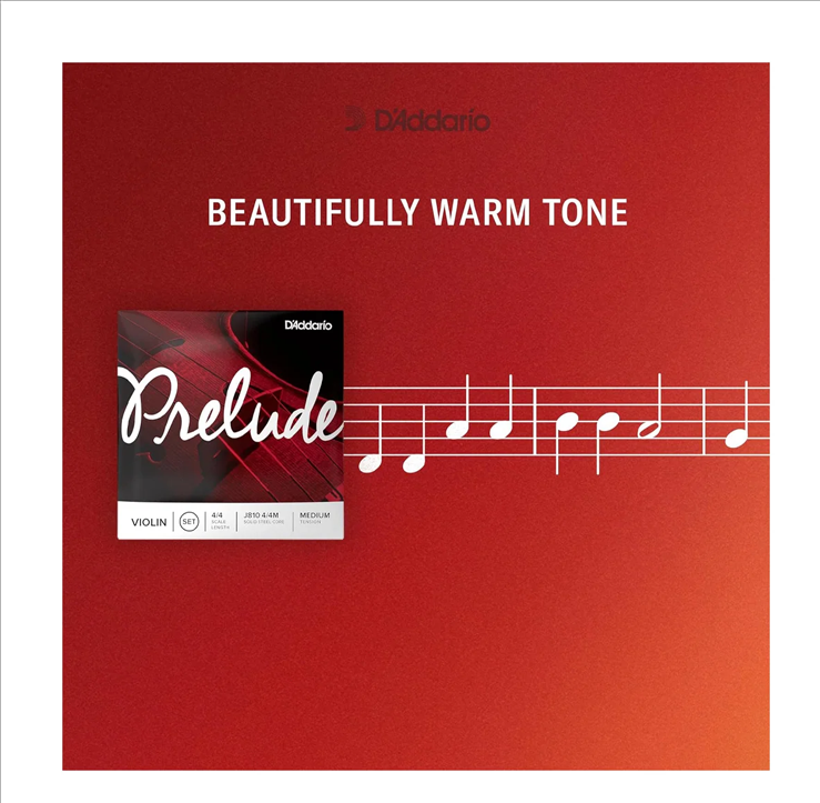 Juego de cuerdas para Violín de 4/4 D´Addario EJ810