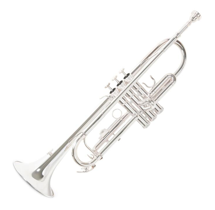 Trompeta en Bb Roy Benson GWTR202S