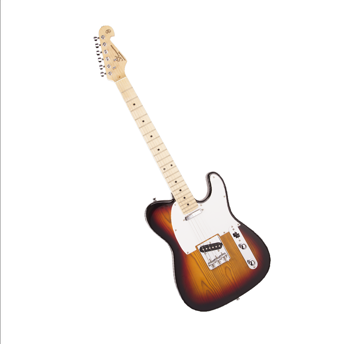 Guitarra Eléctrica Sk En Combo SESK3TS