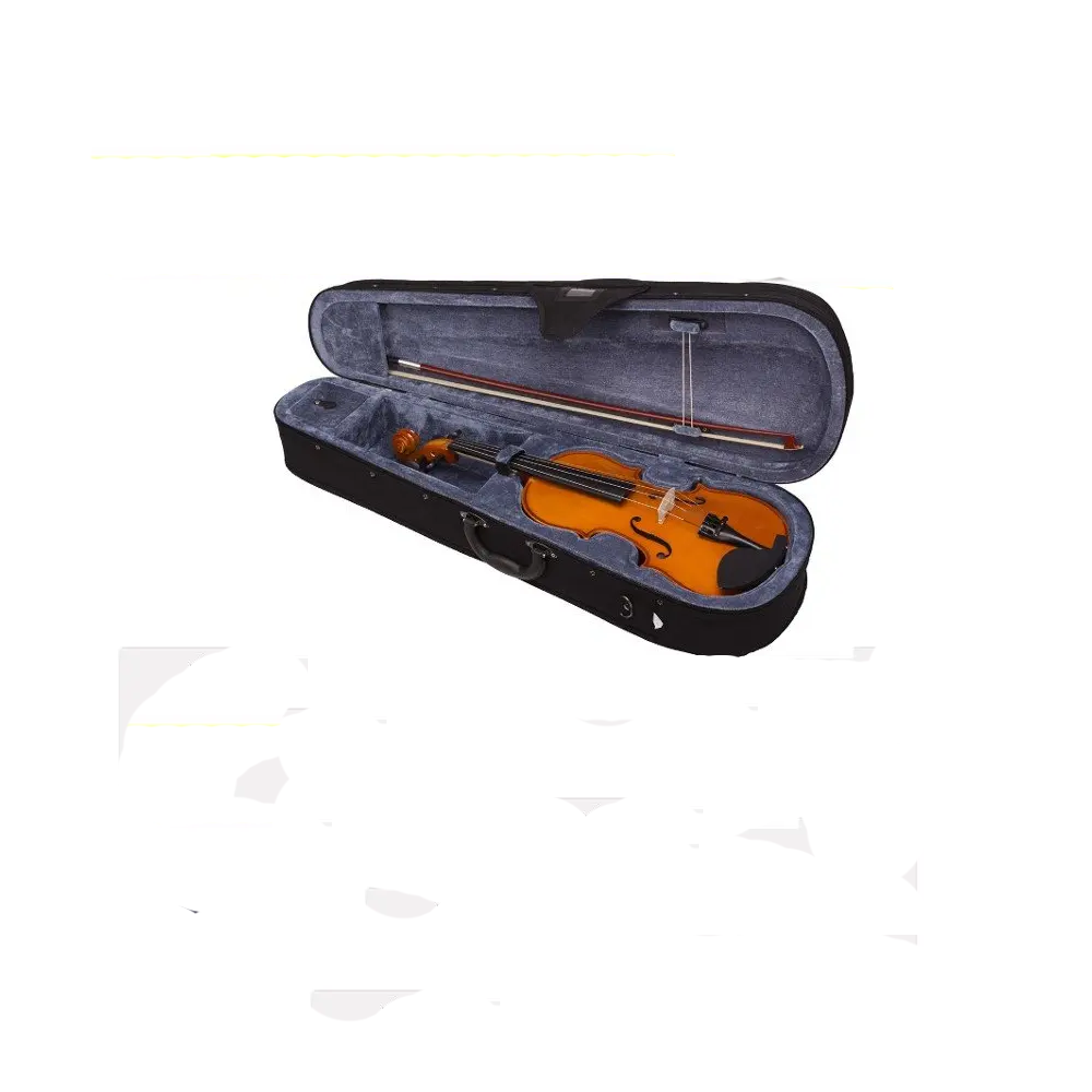 Violín De 4/4 Valencia V16044