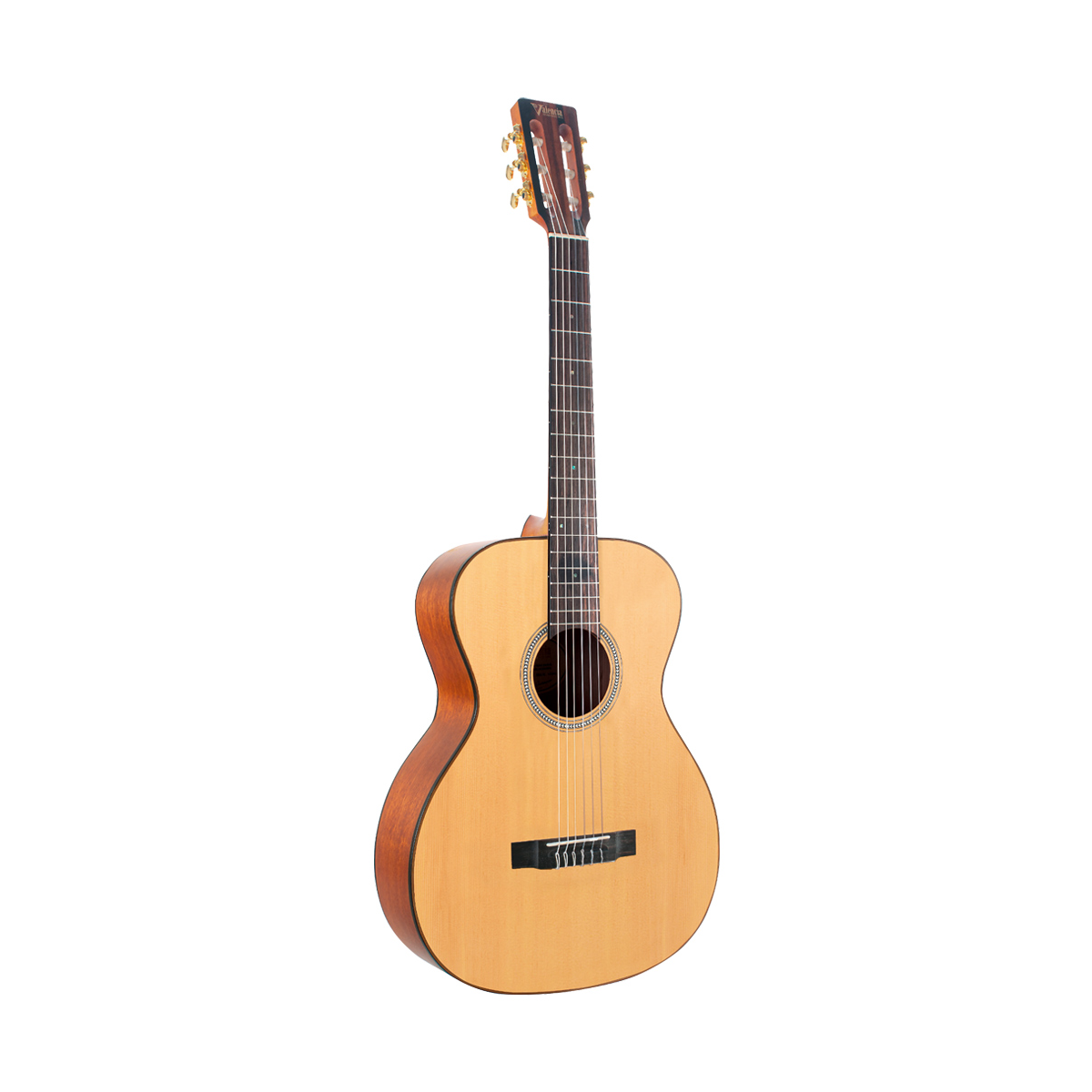 Guitarra Acústica Cuerpo Auditorio Valencia VA434