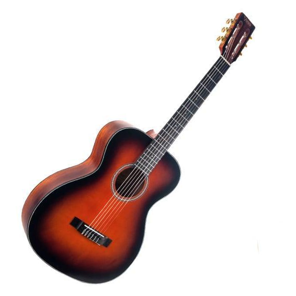 Guitarra Acústica Cuerpo Auditorio Valencia VA434CSB