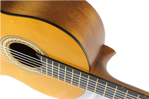 Guitarra Acústica Valencia VC204