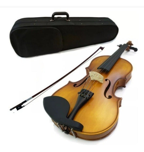 Violín de 4/4 Visconti VV100