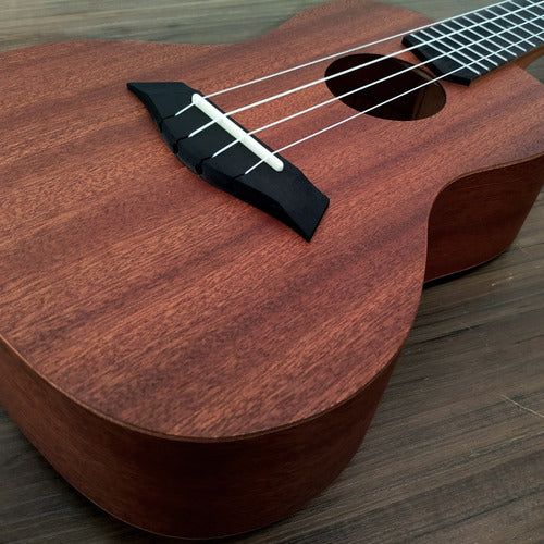 Ukelele Concierto Tagima Tg23Kntms