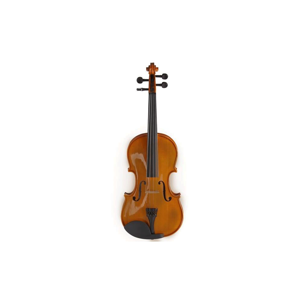 Violín De 4/4 Valencia V40044