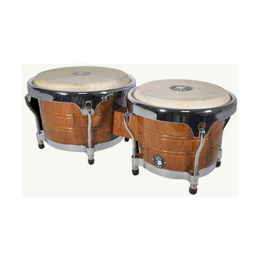 Bongo 5D2 Bg500Am