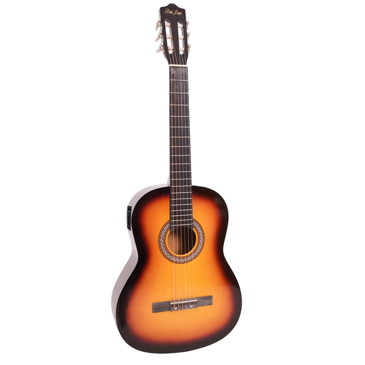 Guitarra electroacústica Palmer DJ-G395EQSB