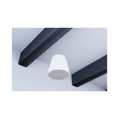 Parlantes de 70/100 V de colgar Bose DM5P