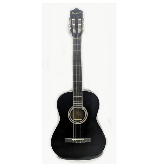 Guitarra acústica Holmer EC309BK