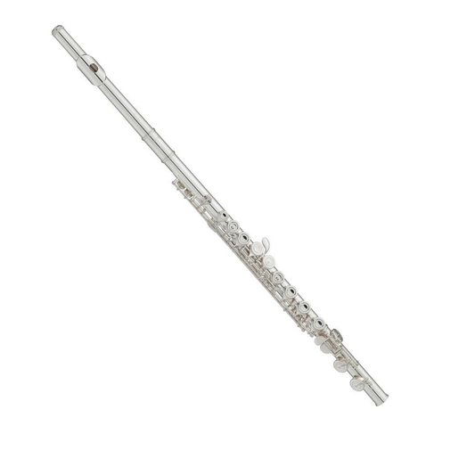 Flauta Traversa Holmer 6456S