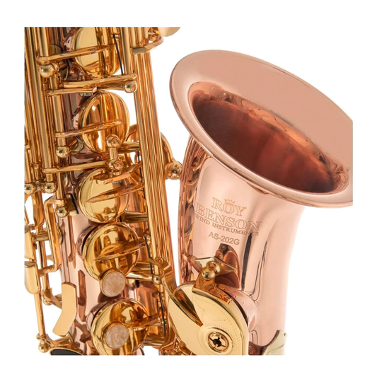 Saxofón Alto Roy Benson GWAS202G