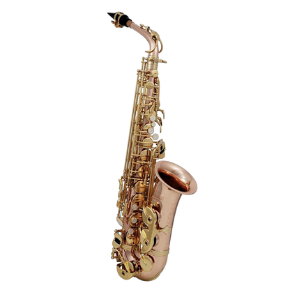 Saxofón Alto Roy Benson GWAS202G