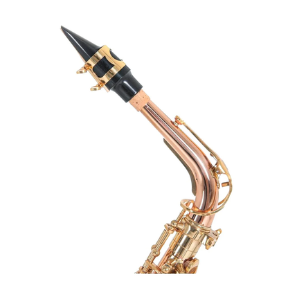 Saxofón Alto Roy Benson GWAS202G