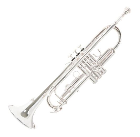 Trompeta en Bb Roy Benson GWTR202S