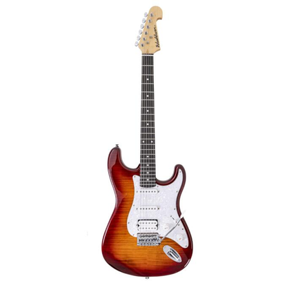 Guitarra eléctrica Washburn Combo (Kit) SDFSBPACK