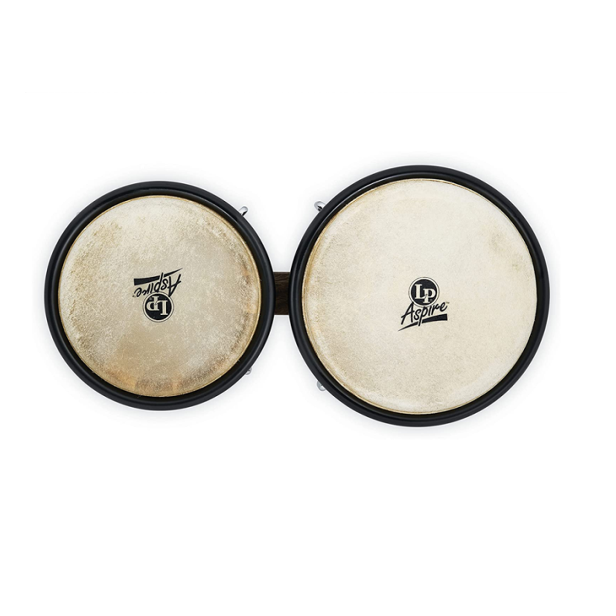 Bongo LP Aspire OAK HAV LPA601HC