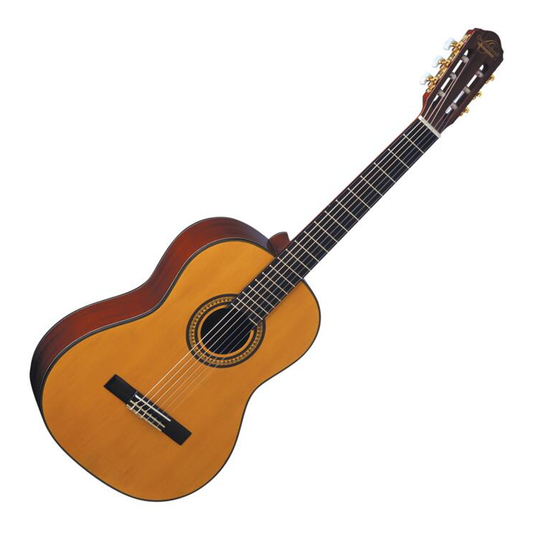 Guitarra Acústica Oscar Schmidt OSOC11
