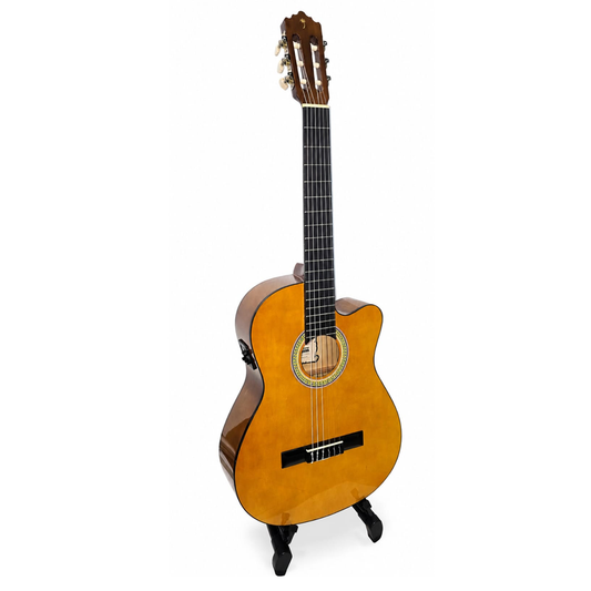 Guitarra Electroacústica Palmer PC13CEQLB