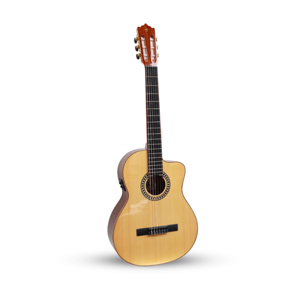 Guitarra electroacústica Palmer TANISCEQFS