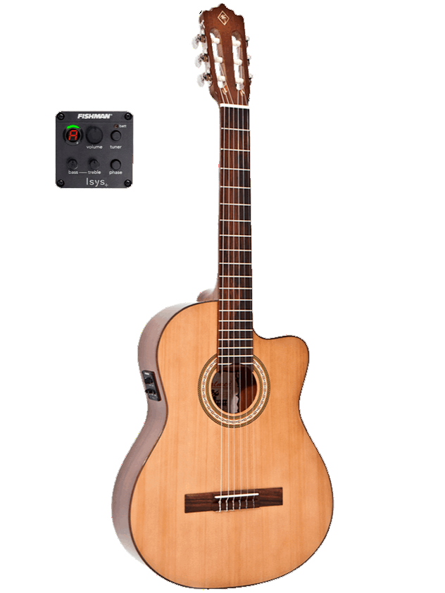 Guitarra electroacústica Palmer TANISCEQFS