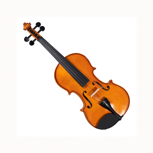 Violín De 4/4 Valencia V40044
