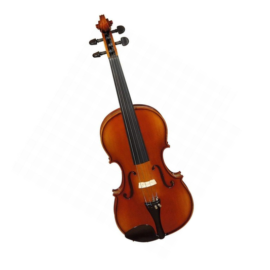 Violín De 3/4 Valencia V10034