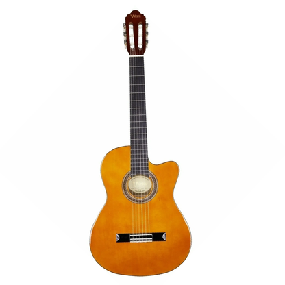Guitarra acústica Valencia VC104TC