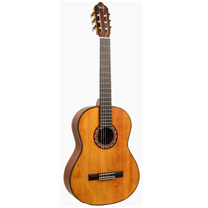 Guitarra acústica Valencia VC404