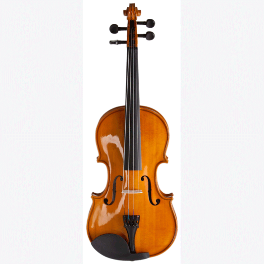 Violín De 1/4 Valencia V16014