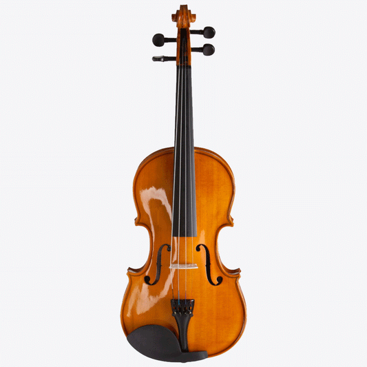 Violín De 1/8 Valencia V16018